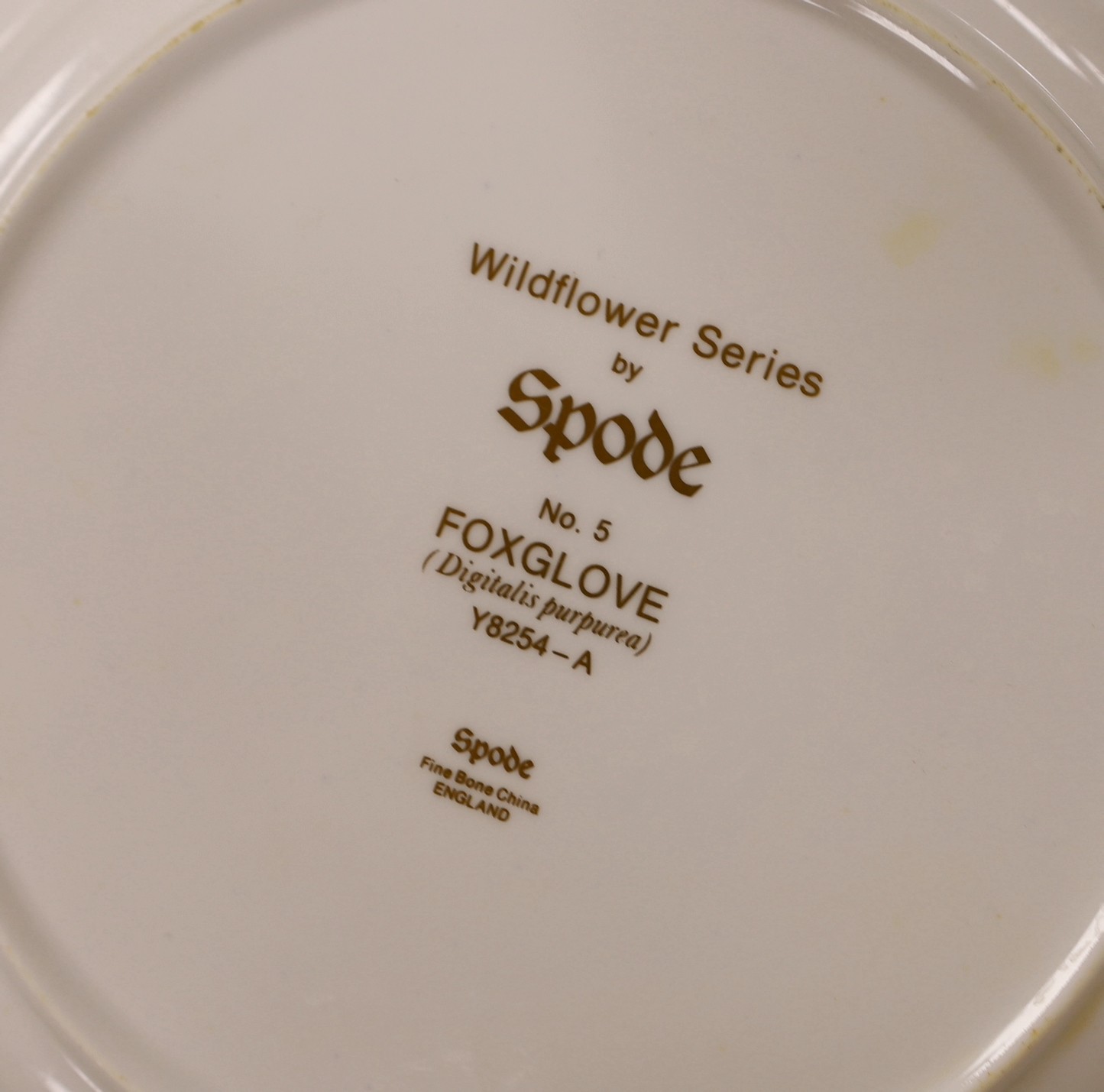 Six Spode fruit dishes, six floral Spode dishes, six Royal Crown Derby 